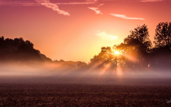 Earth - sunset Wallpapers and Backgrounds