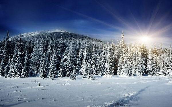 Earth - winter Wallpapers and Backgrounds