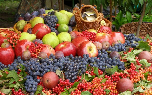 Food - fruit Wallpapers and Backgrounds