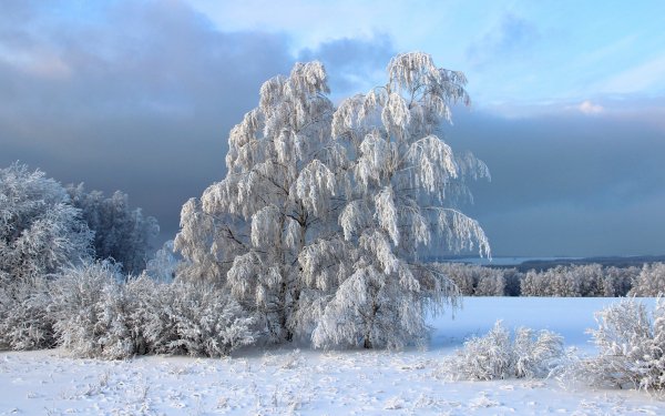 Earth - winter Wallpapers and Backgrounds