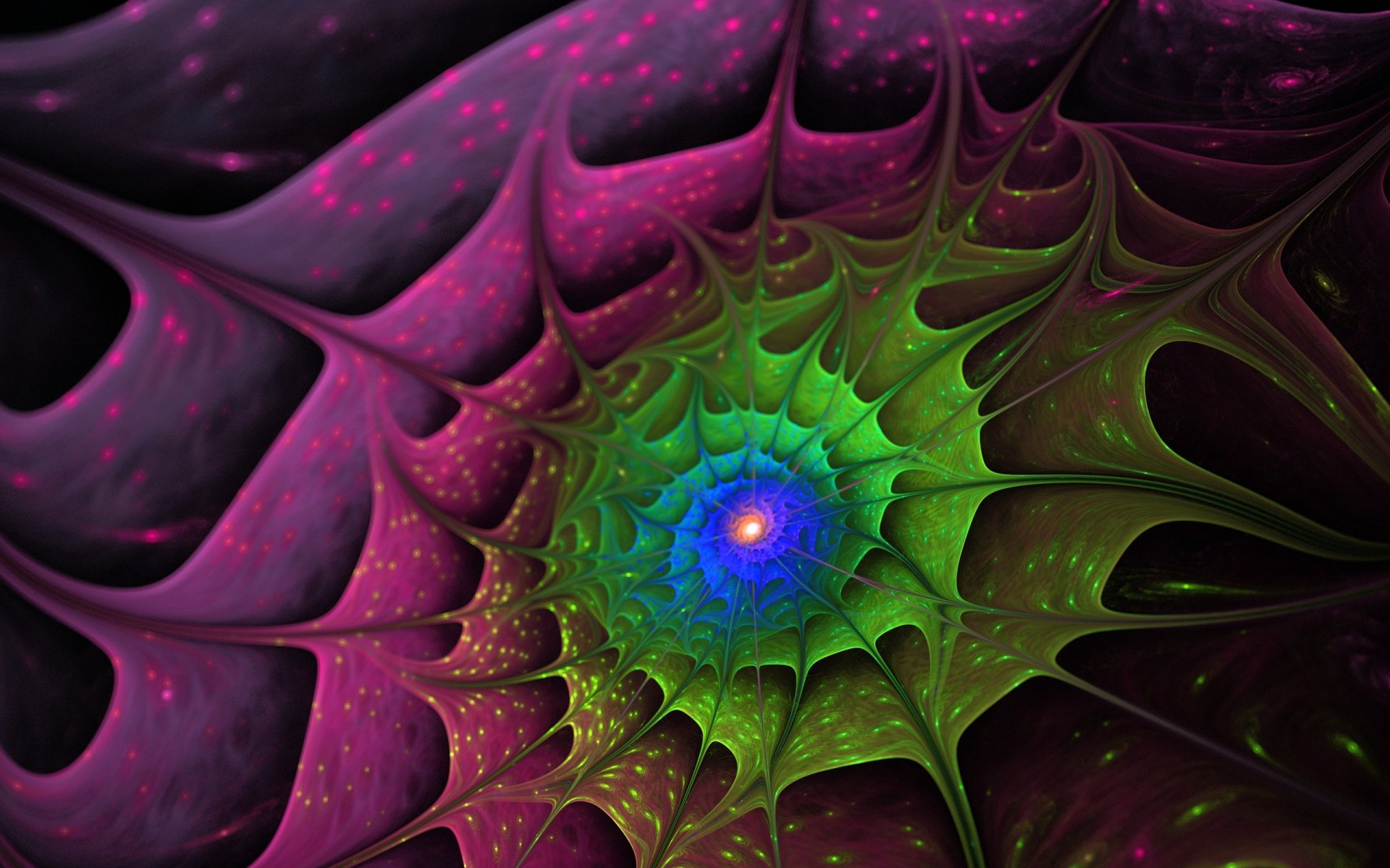 Fractal Full Hd Wallpaper And Background Image X Id