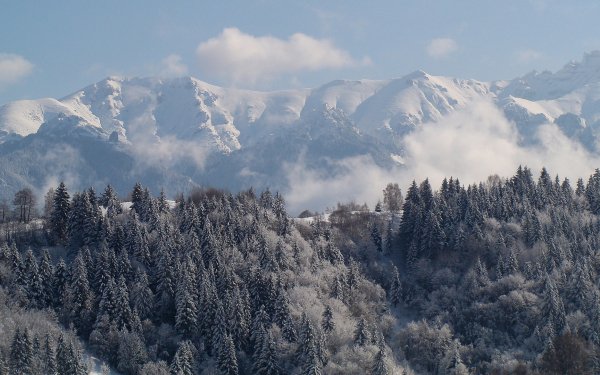 Earth - winter Wallpapers and Backgrounds