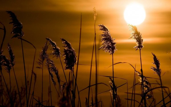 Earth - sunset Wallpapers and Backgrounds