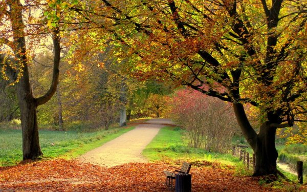 Photography - Park Wallpapers and Backgrounds