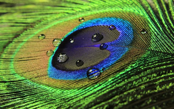Earth - water drop Wallpapers and Backgrounds