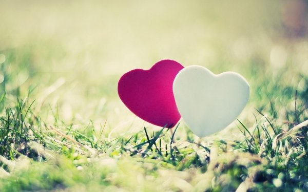 Holiday - valentine