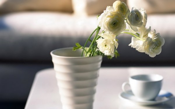 Man Made - flower Wallpapers and Backgrounds
