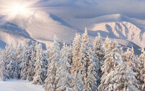 Earth - winter Wallpapers and Backgrounds