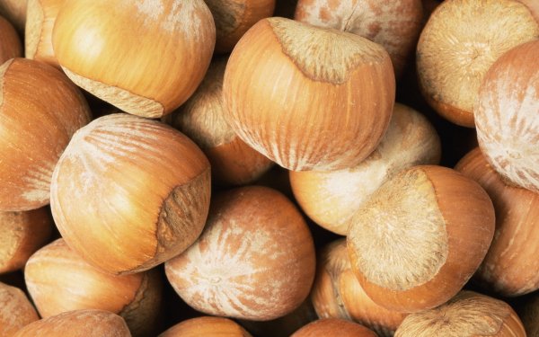 Food - nut Wallpapers and Backgrounds