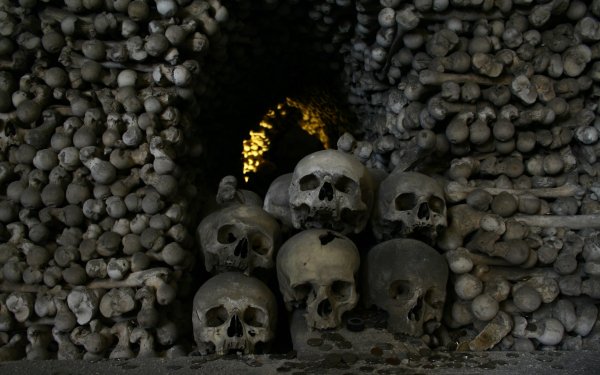 Dark - skull Wallpapers and Backgrounds