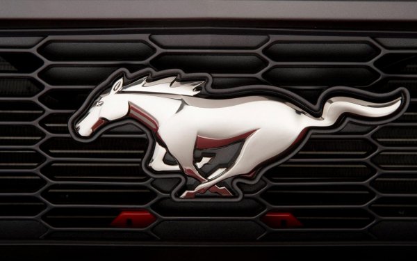 Vehicles - ford mustang Wallpapers and Backgrounds