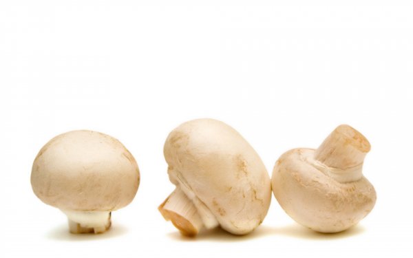 Food - mushroom Wallpapers and Backgrounds