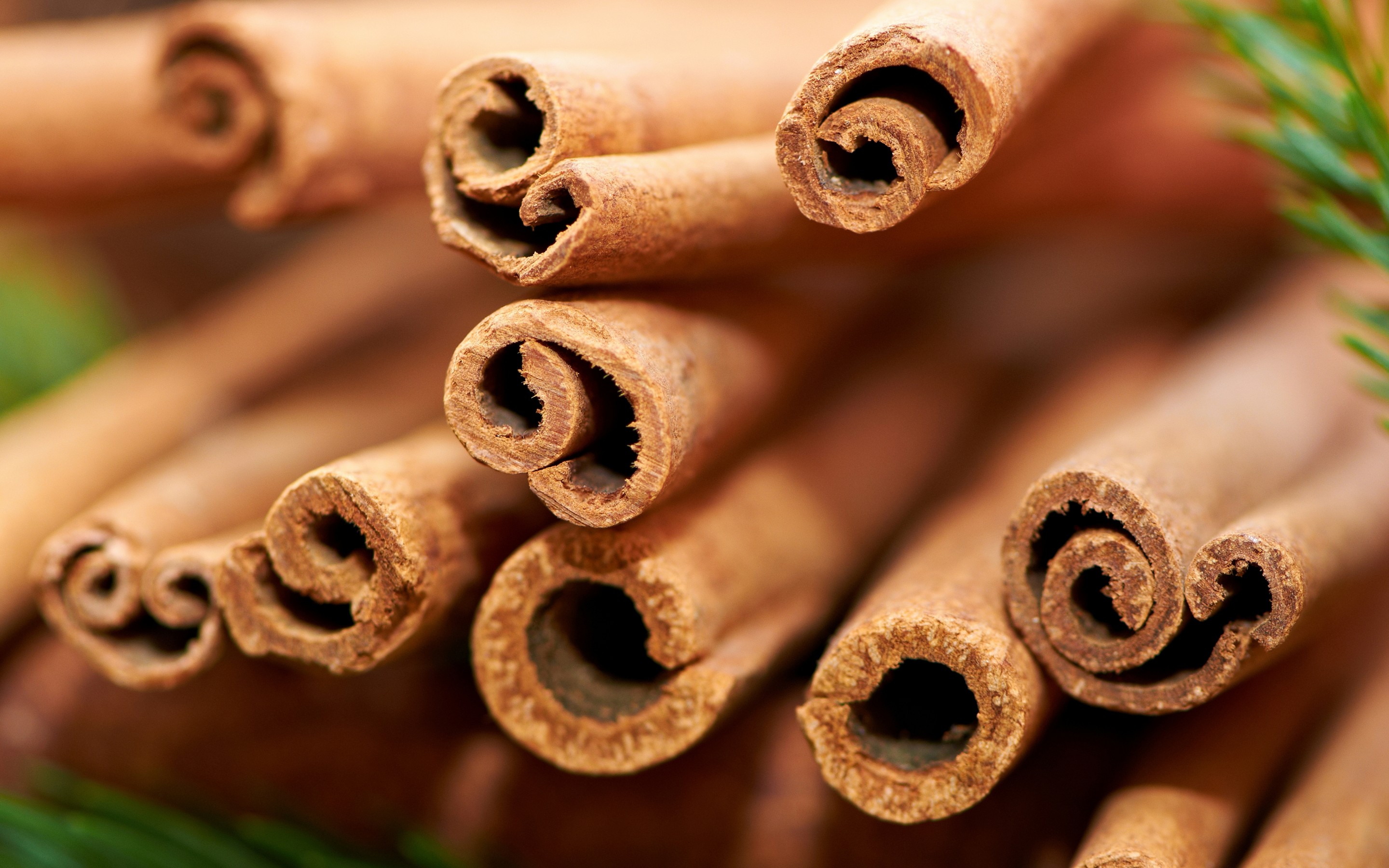 health benefits of cinnamon 