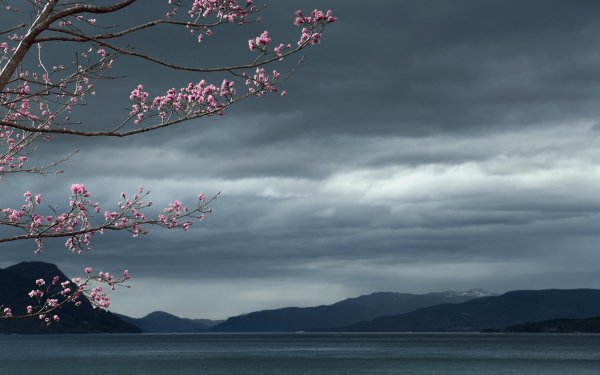 Earth - lake Wallpapers and Backgrounds