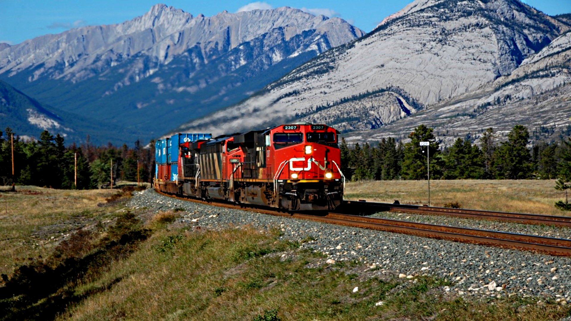 439815.jpg