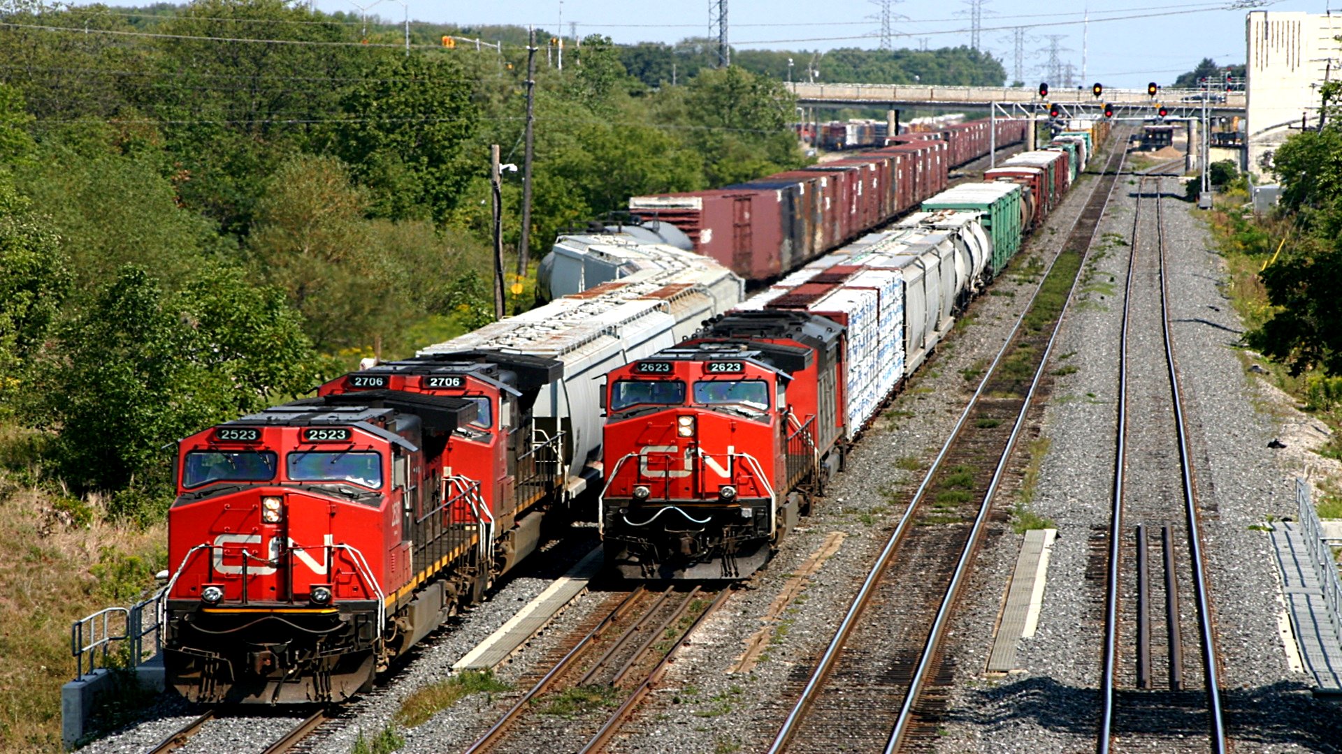 439818.jpg