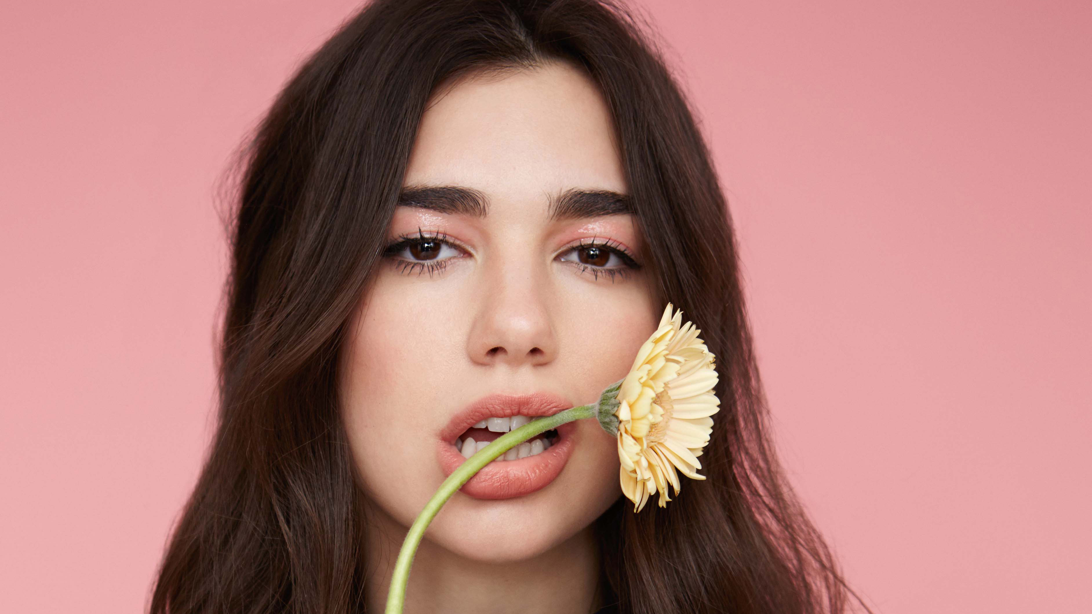 Download Flower Music Dua Lipa HD Wallpaper