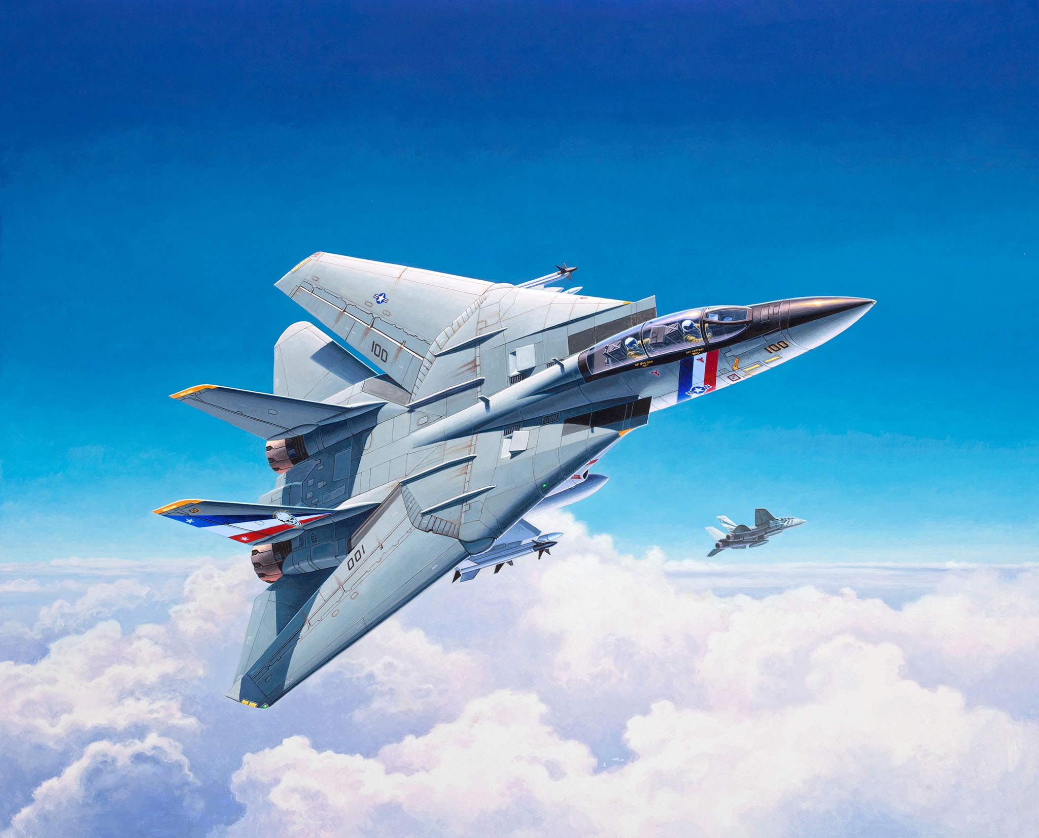 Grumman F-14 Tomcat HD Wallpaper | Background Image | 2048x1651 | ID