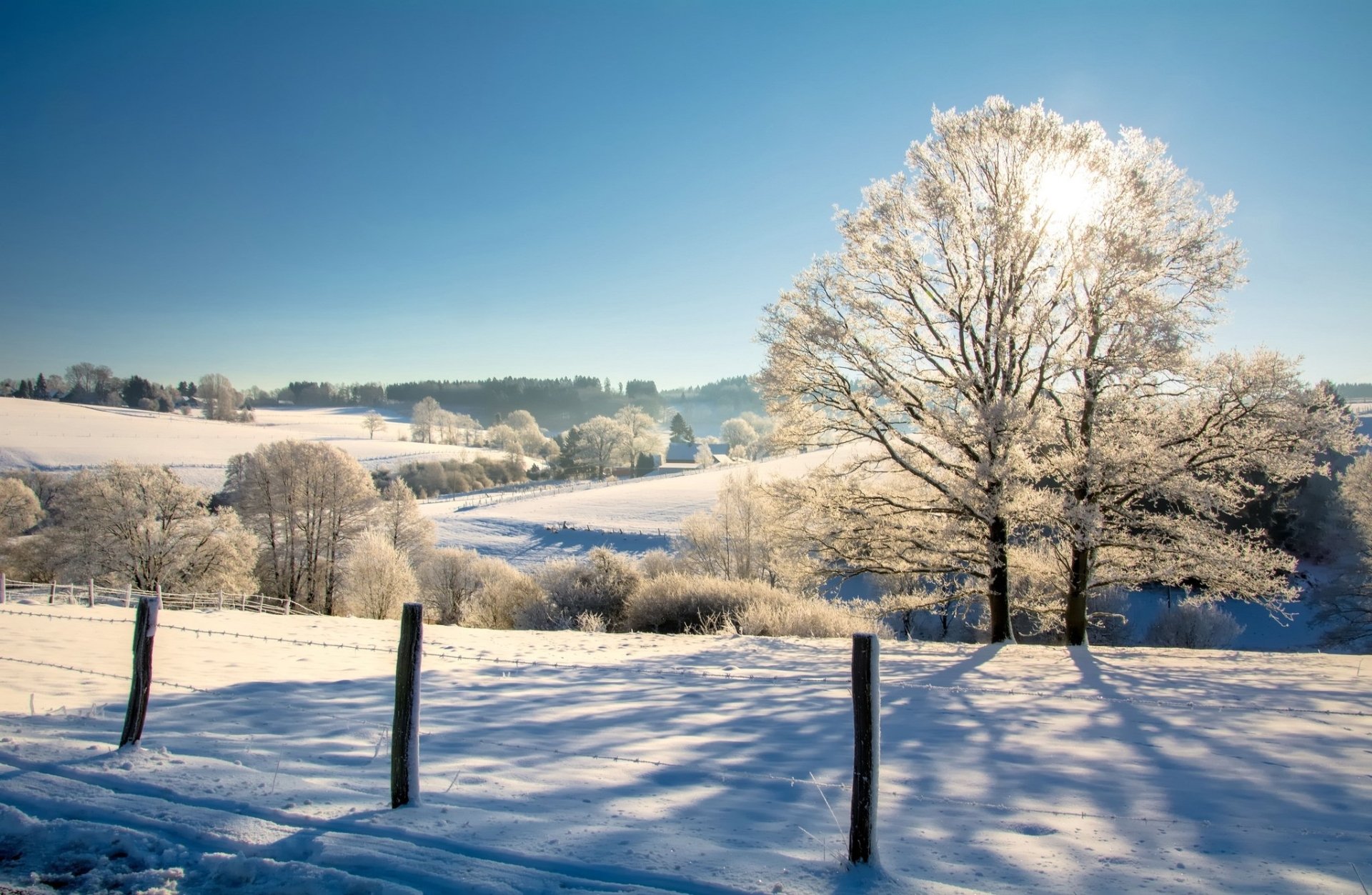 Download Photography Winter HD Wallpaper