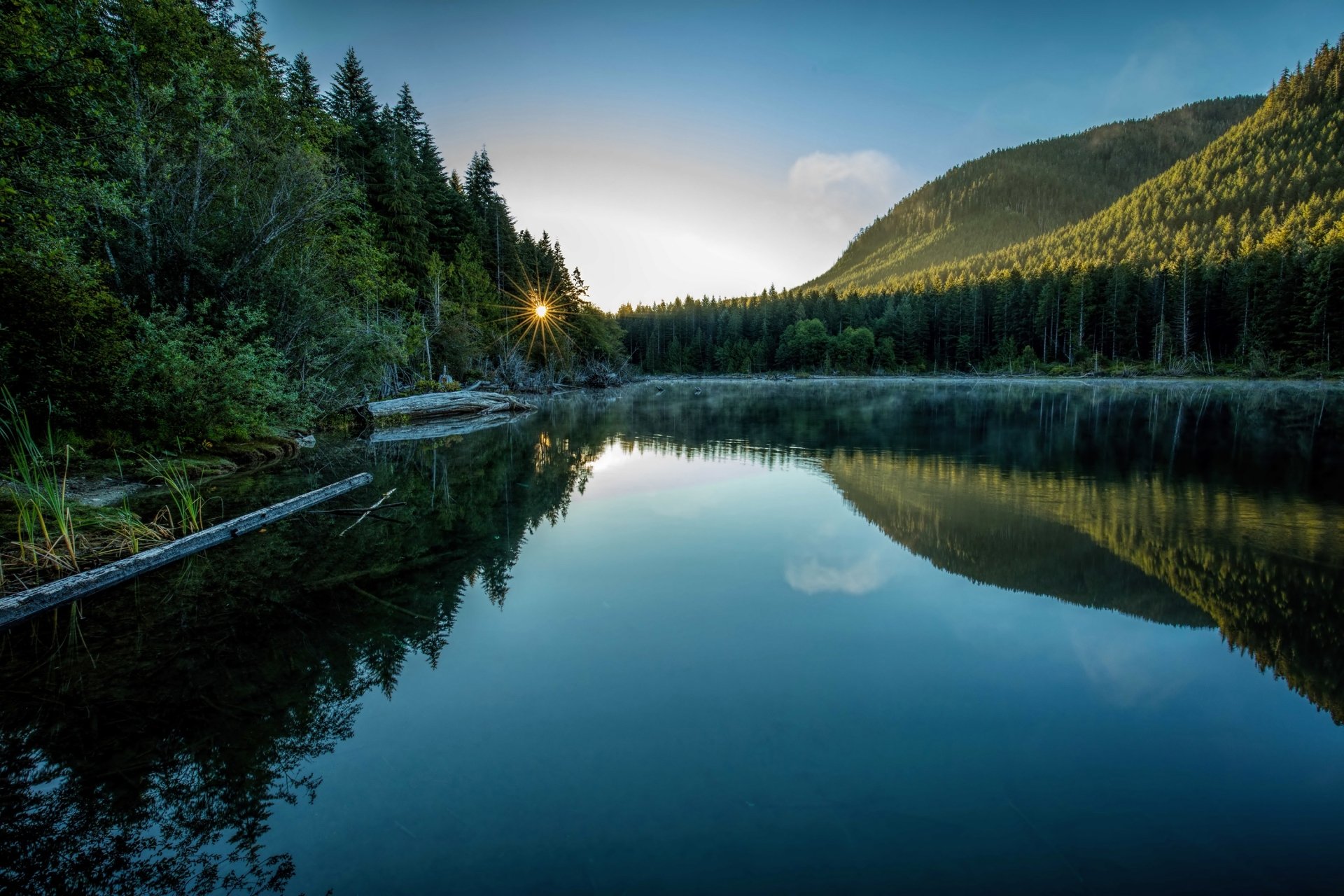 Serene Forest Lake Reflection - HD Nature Wallpaper | 3000x2000 ...