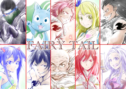 Mirajane Strauss Erza Scarlet Makarov Dreyar Gray Fullbuster Wendy Marvell Gajeel Redfox Lucy Heartfilia Natsu Dragneel Happy (Fairy Tail) Jellal Fernandes Anime Fairy Tail HD Desktop Wallpaper | Background Image