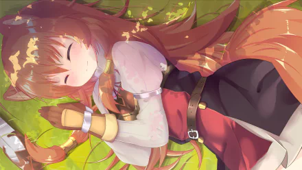 HD wallpaper featuring Raphtalia from The Rising of the Shield Hero anime, resting peacefully on a grassy background.
