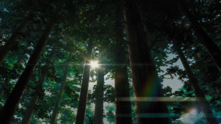 HD desktop wallpaper of a serene forest from the anime Your Name, showcasing tall trees with sunlight filtering through the leaves, creating a tranquil and enchanting atmosphere.