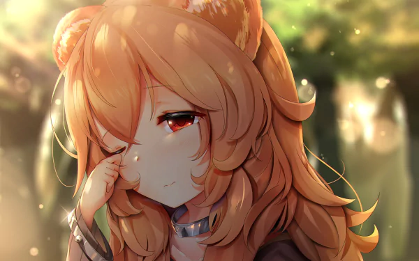 HD desktop wallpaper featuring Raphtalia from The Rising of the Shield Hero anime, with a serene background and warm lighting.