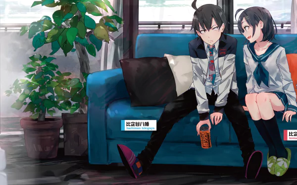 Hachiman Hikigaya Komachi Hikigaya Anime My Teen Romantic Comedy SNAFU HD Desktop Wallpaper | Background Image