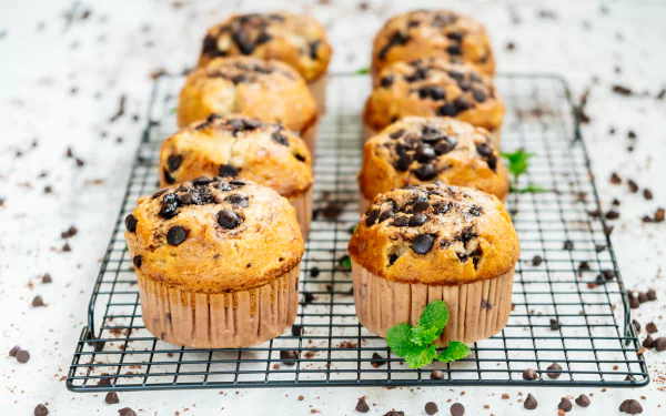  Chocolate chip muffins