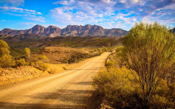 dirt road nature path HD Desktop Wallpaper | Background Image