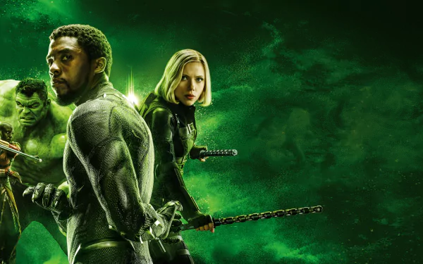 Danai Gurira Chadwick Boseman Scarlett Johansson Mark Ruffalo Black Widow Hulk Okoye (Marvel Comics) Black Panther (Marvel Comics) movie Avengers: Infinity War HD Desktop Wallpaper | Background Image