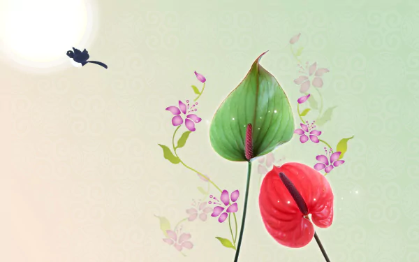 nature anthurium HD Desktop Wallpaper | Background Image
