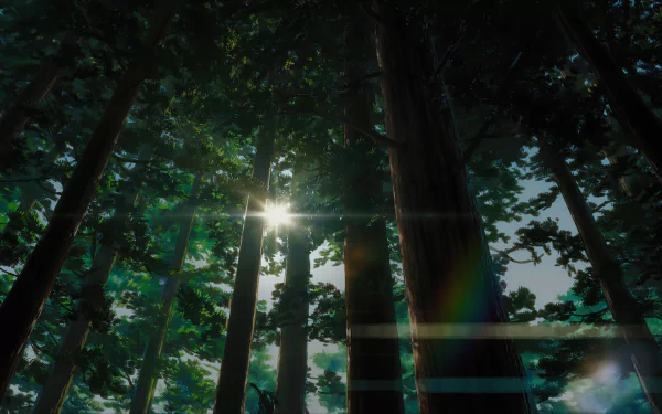 HD desktop wallpaper of a serene forest from the anime Your Name, showcasing tall trees with sunlight filtering through the leaves, creating a tranquil and enchanting atmosphere.