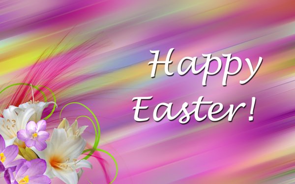 Holiday Easter Gradient Lily Flower HD Wallpaper | Background Image