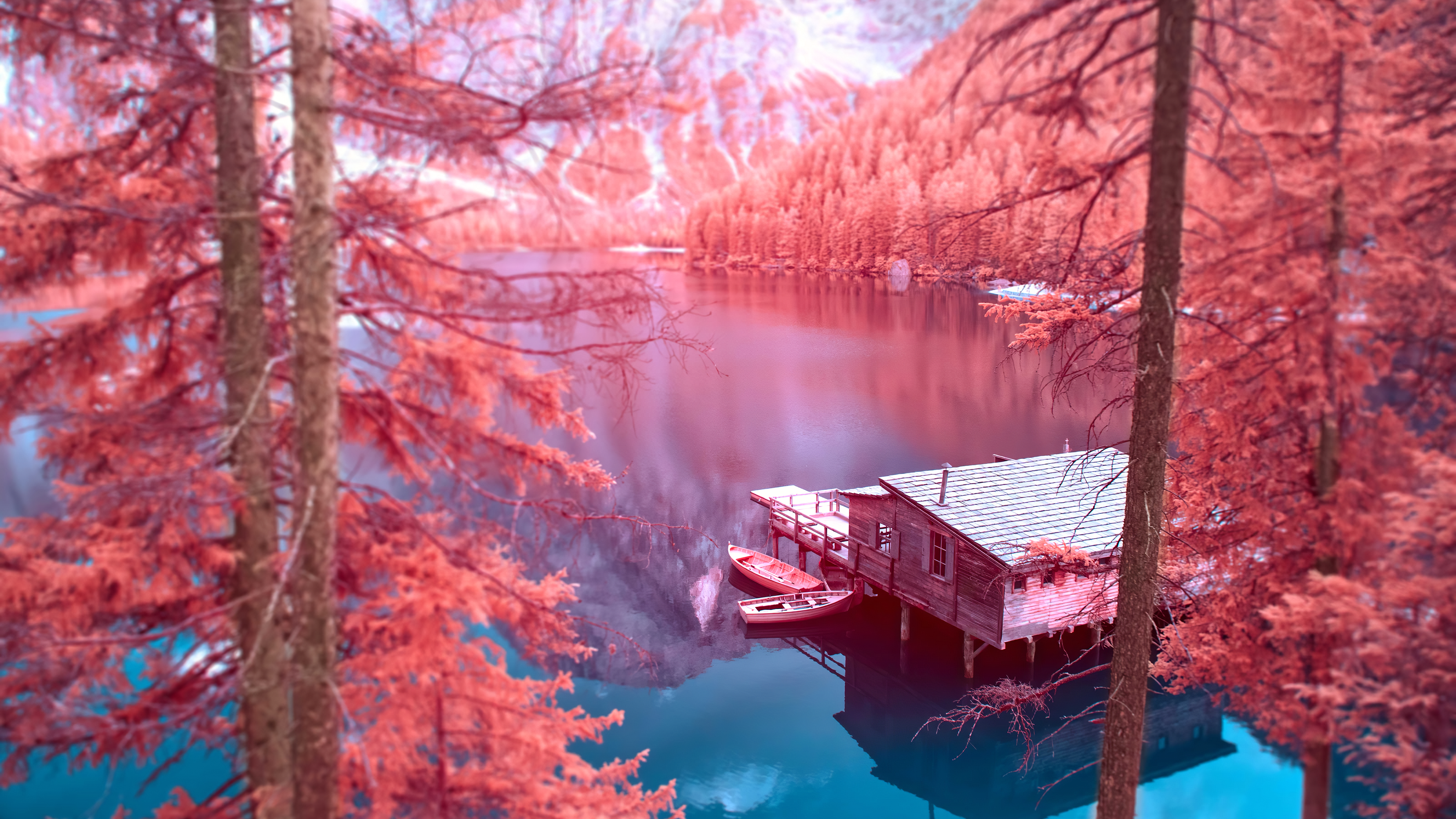 Infrared Photography by Paolo Pettigiani