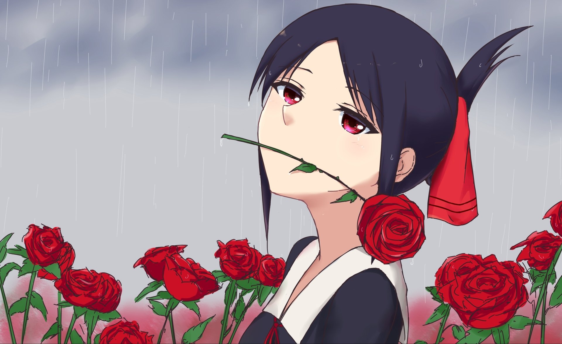 Download Rose Kaguya Shinomiya Anime Kaguya-sama: Love Is War HD Wallpaper by Llmioy