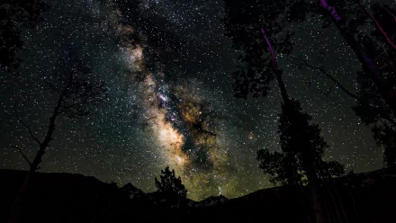 HD PC desktop wallpaper showcasing the Milky Way stretching across a star-filled night sky above silhouetted trees in a natural landscape.