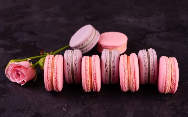 Food Macaron Sweets Still Life Rose HD Wallpaper | Background Image