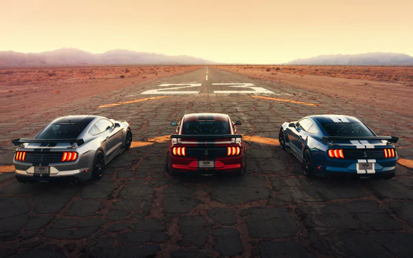 Three Ford Shelby GT500 cars, including a silver one, are lined up on a cracked runway at sunset in this 4K Ultra HD desktop wallpaper.