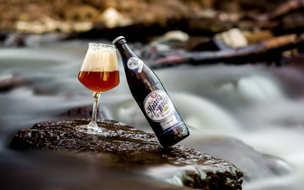alcohol food beer HD Desktop Wallpaper | Background Image