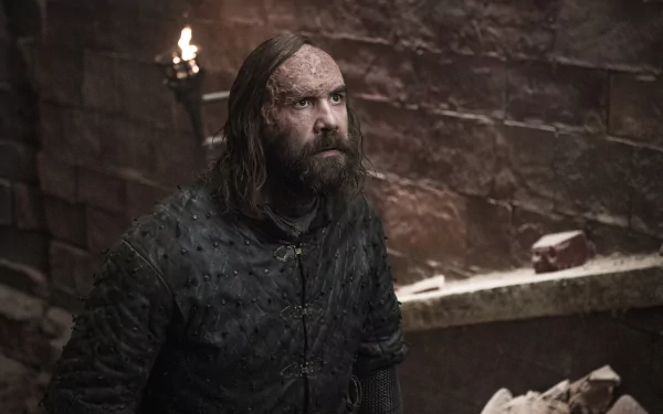 Rory McCann Sandor Clegane TV Show Game Of Thrones HD Desktop Wallpaper | Background Image