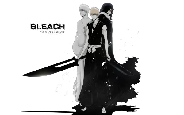 HD PC desktop wallpaper of Bleach: Ichigo Kurosaki split with Zangetsu and Hollow Ichigo in stark monochrome anime art.