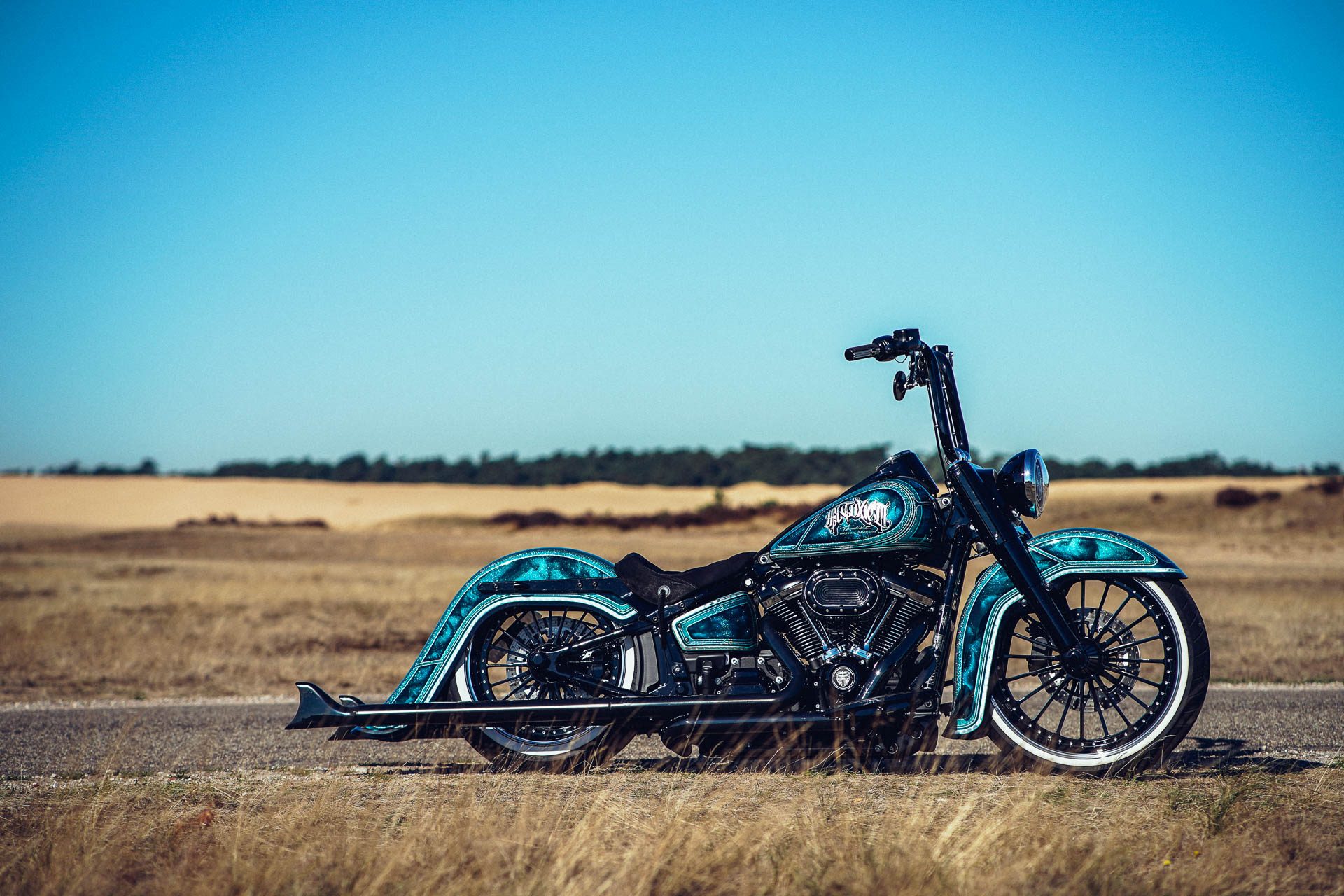 El Toxico customized Thunderbike Harley-Davidson Heritage by Ben Ott