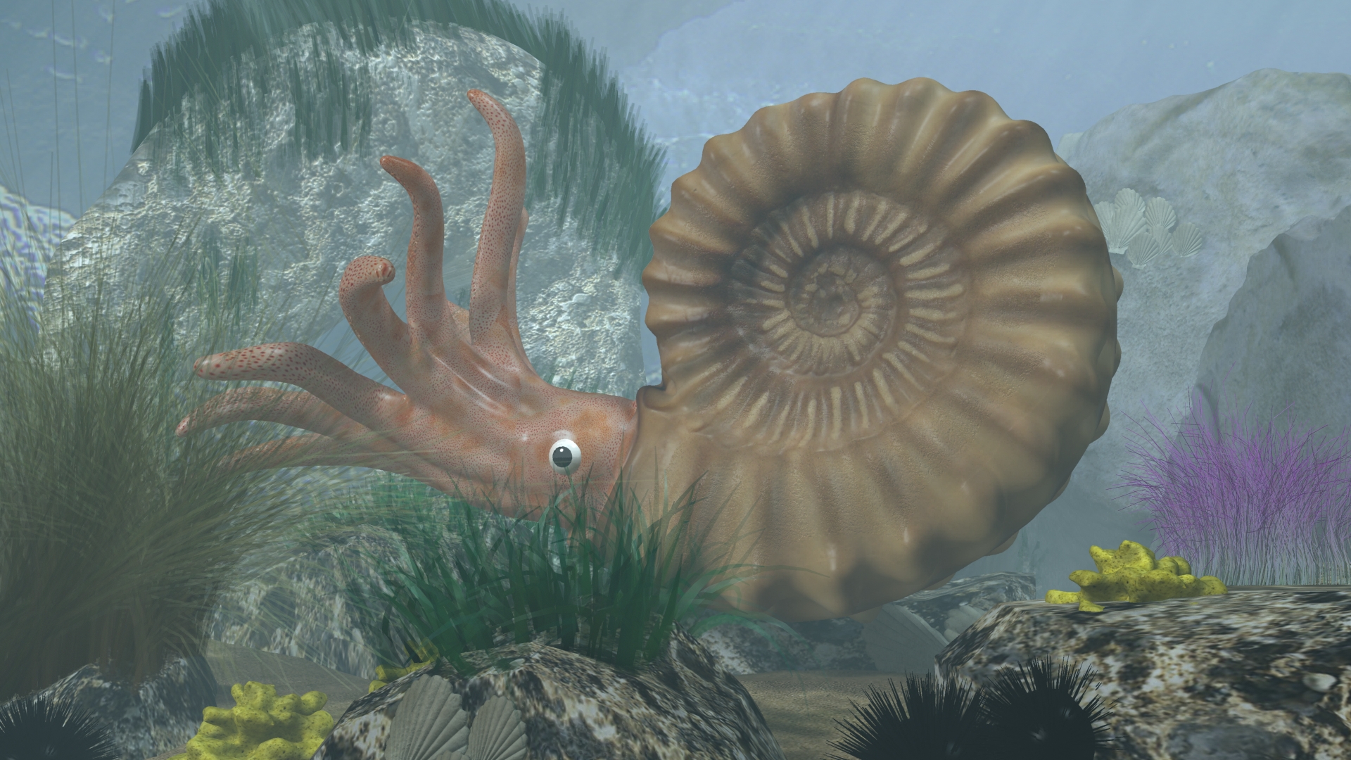 Ammonite 3d model by supercigale