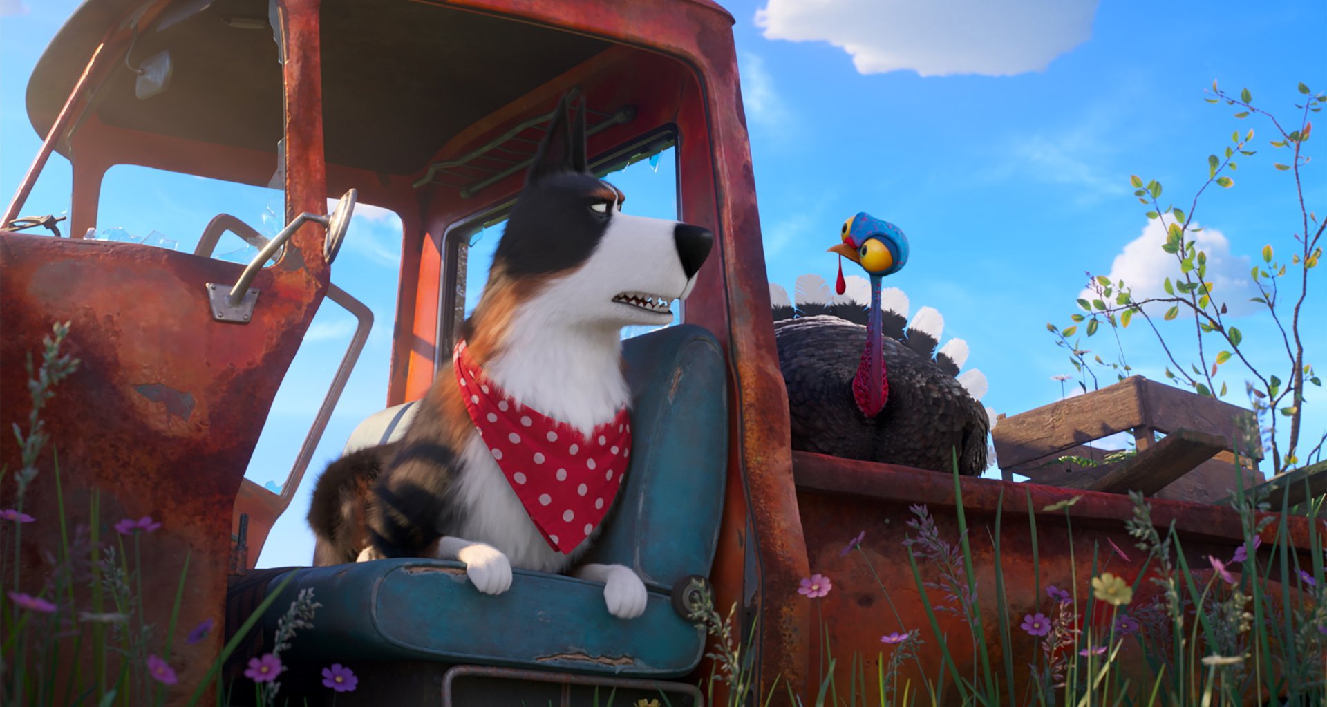 Download Movie The Secret Life Of Pets 2 HD Wallpaper