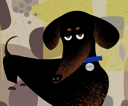 movie The Secret Life of Pets 2 HD Desktop Wallpaper | Background Image