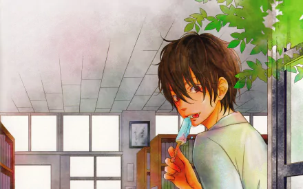 Haru Yoshida Anime My Little Monster HD Desktop Wallpaper | Background Image