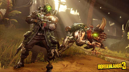 video game Borderlands 3 HD Desktop Wallpaper | Background Image
