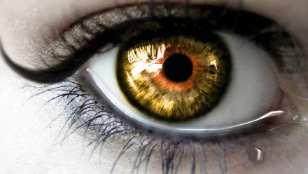  Tear falling from Hazel Eye